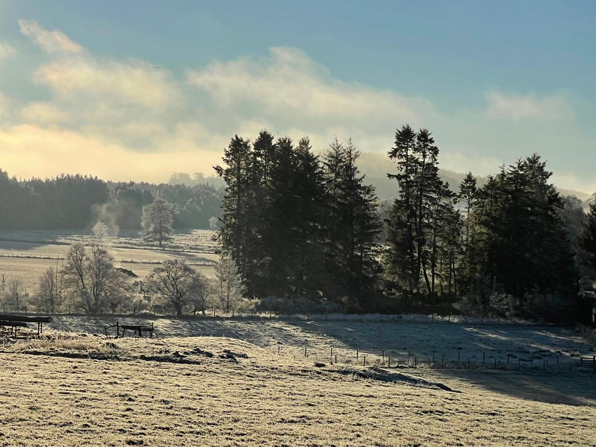 Coppice Cottage Grantown-on-Spey Exteriér fotografie
